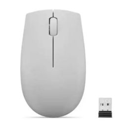 עכבר אלחוטי 
LENOVO 530 WIRELESS MOUSE (ALMOND)