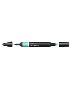 Winsor & Newton טוש מרקר פנטון - Promarker שם גוון: Soft Green מס' גוון: MG817
