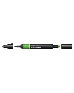 Winsor & Newton טוש מרקר פנטון - Promarker שם גוון: Forest Green מס גוון: MG356
