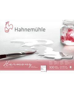 HAHNEMUHLE  Harmony בלוק לצבעי מים A4 כבישה קרה 300 גרם דבק