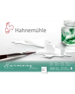 Hahnemuhle בלוק לצבע מים - Harmony 300 גרם A3, 12 דפים, hot pressed, דבק