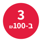 ריבון מגוון ערכות יצירה  3ב-100